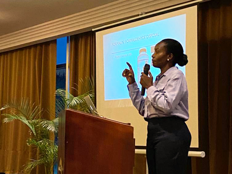 Swift Path Solutions Company Launch